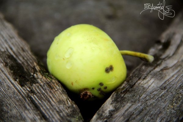 Фотовиставка Тетяни Должко